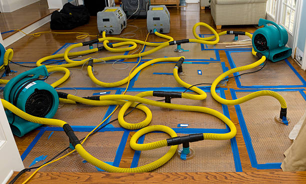 Professional Water Damage Restoration technician working in Boothbay Harbor, ME